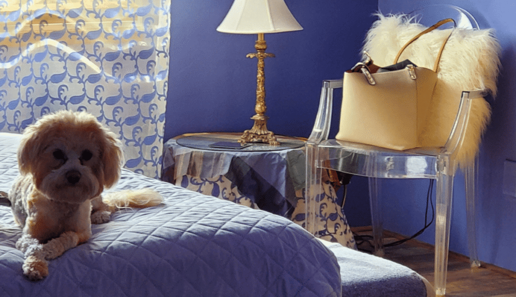 Albastru în dormitor - Postare Blog - Emoții și Culori